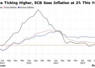 欧洲央行管委：每次会议都降息是可行的，夏季利率有望降至2%