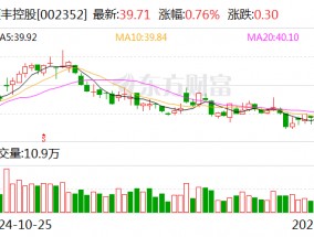 顺丰控股：2024年12月速运物流业务收入196.36亿元 同比增长8.64%