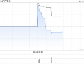 广汇宝信：1月15日下午1时正起复牌