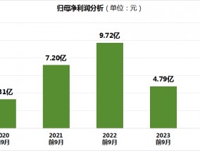 酒鬼酒2024年净利润暴跌近98%，四季度深陷亏损泥潭