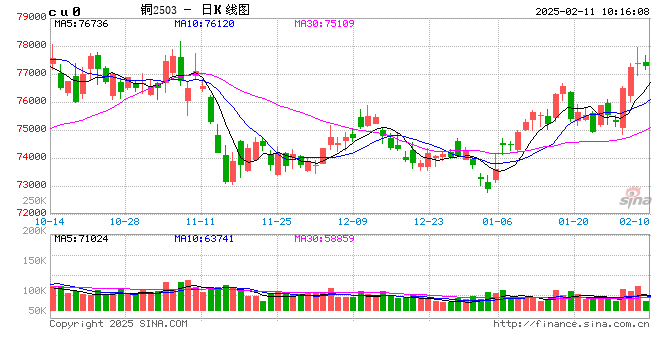 光大期货：2月11日有色金属日报